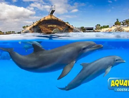 アパート Royal Ocean View - Localization